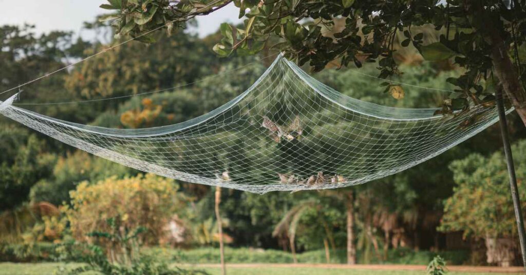 Bird Netting Fabric 