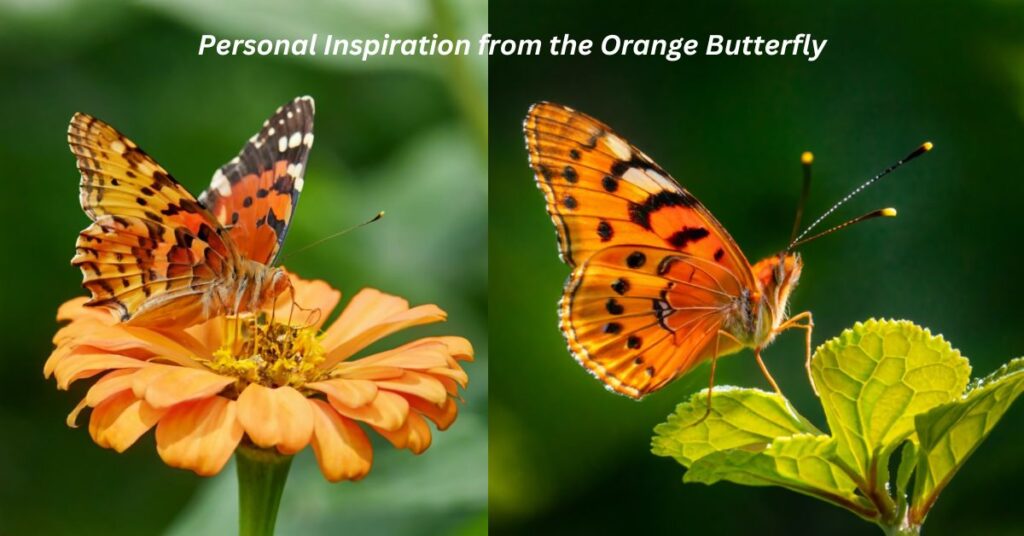 Personal Inspiration from the Orange Butterfly