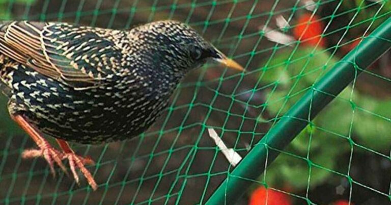 bird netting