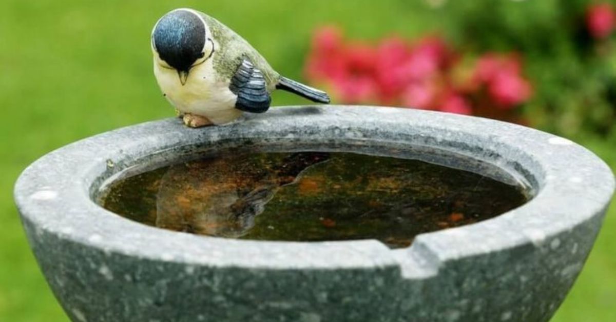 modern bird bath