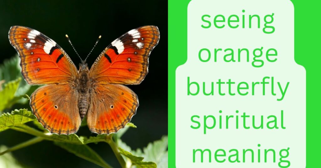 seeing orange butterfly spiritual meaning