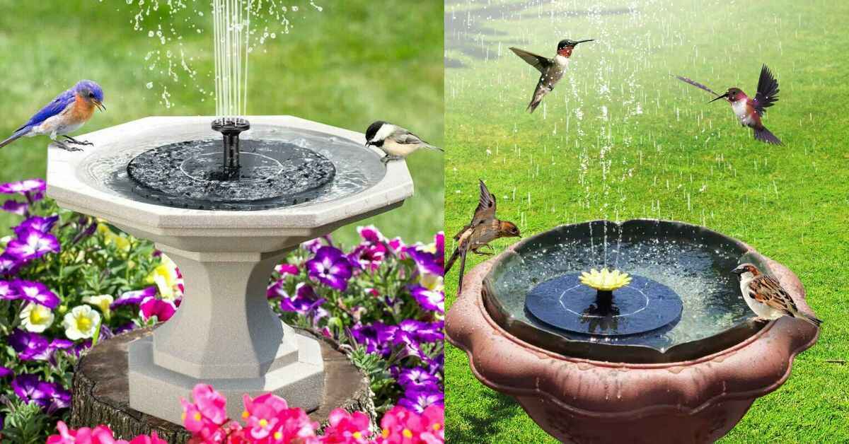 Bird Bath Fountain