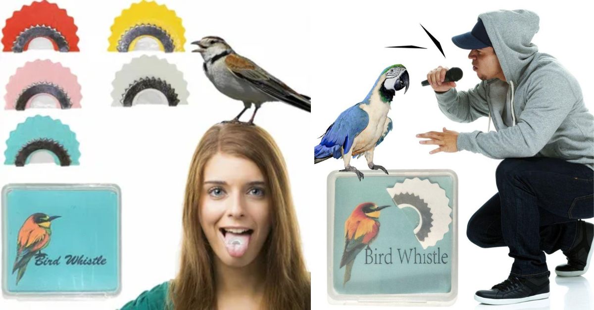 Bird Whistle