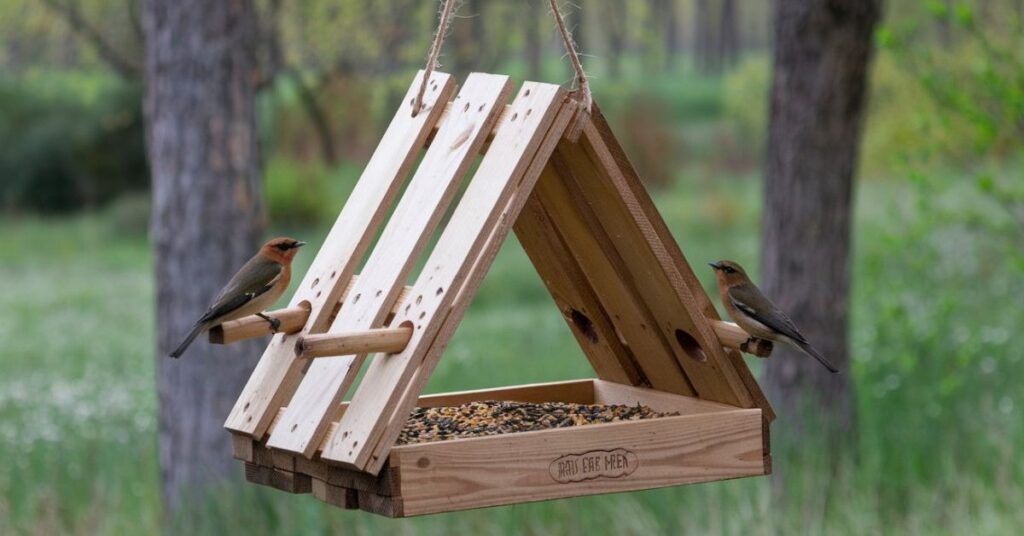 Bird feeder tray diy 