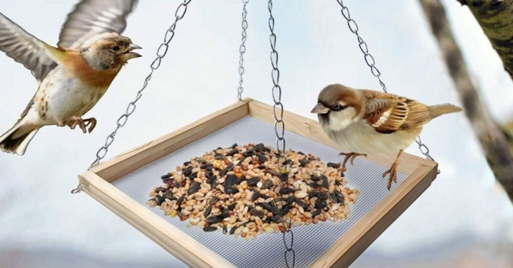 How do you make a hanging bird feeder tray 