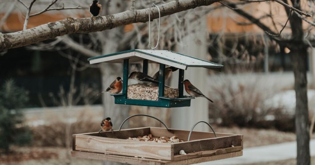 How to make bird feeder squirrel-proof 