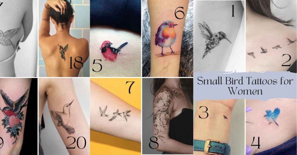 Small Tattoo of Birds Meaning  