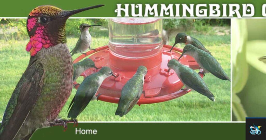 What means Hummingbird Migration Map